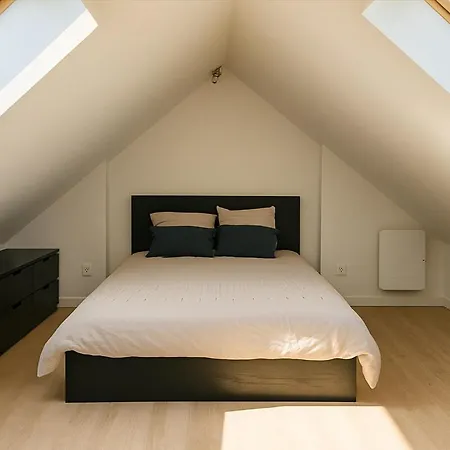 Daire Cozy Duplex Centre Design & Quiet Lille